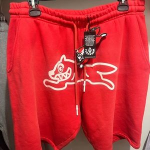 BBC Icecream Shorts